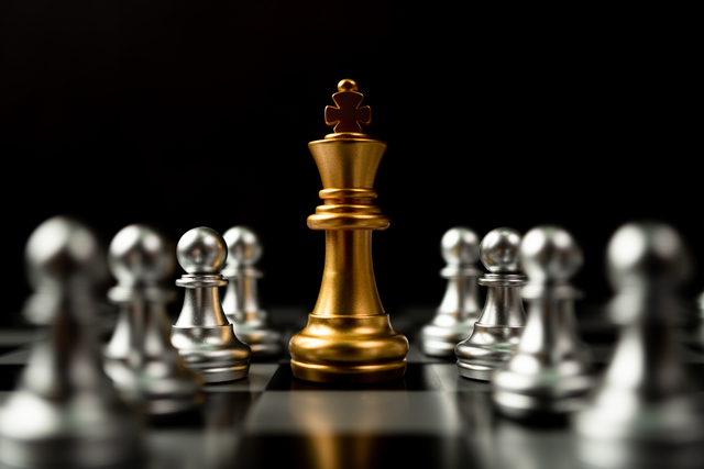 Business Litigation